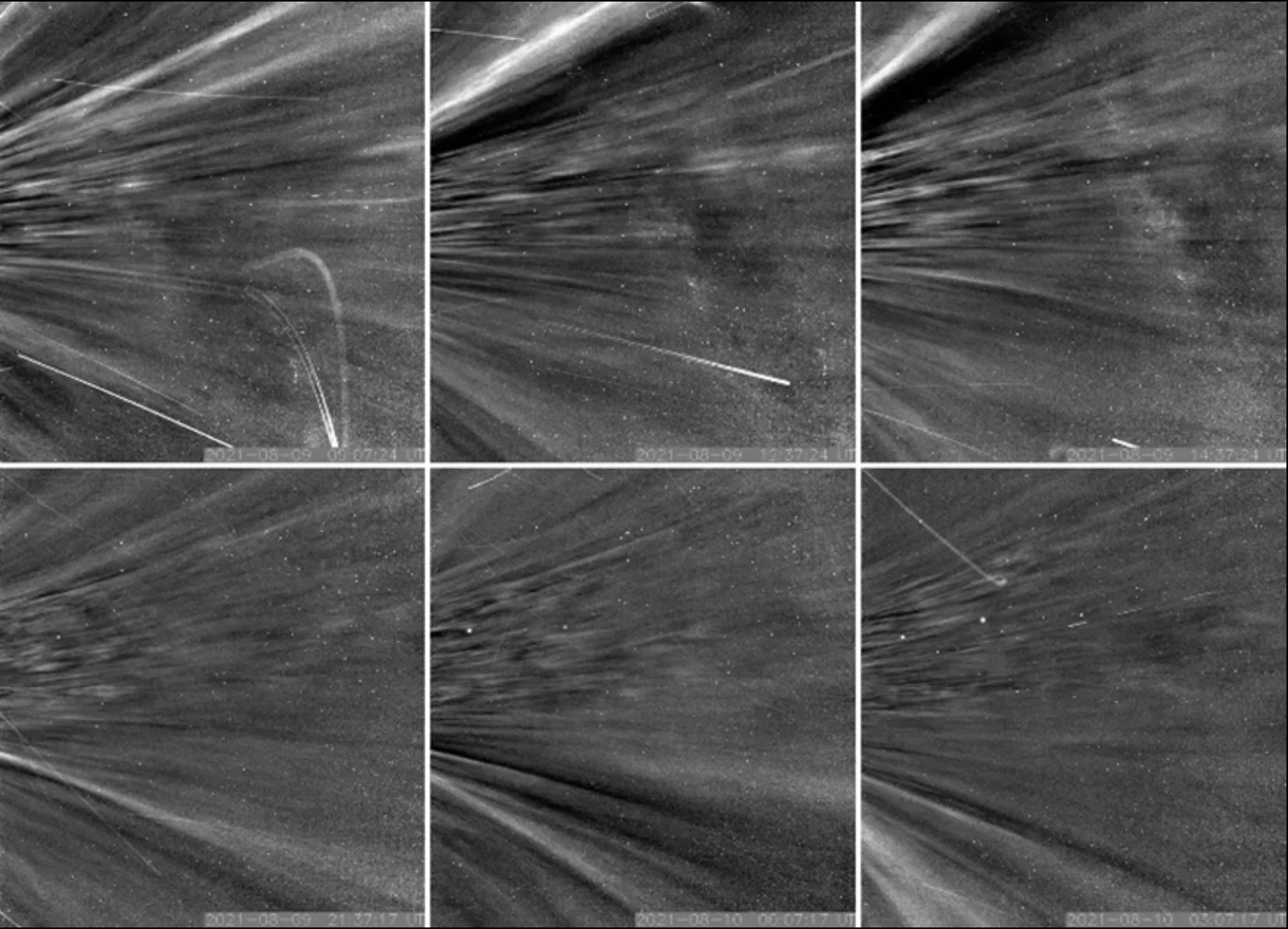 Parker Solar Probe observes coronal streamers 